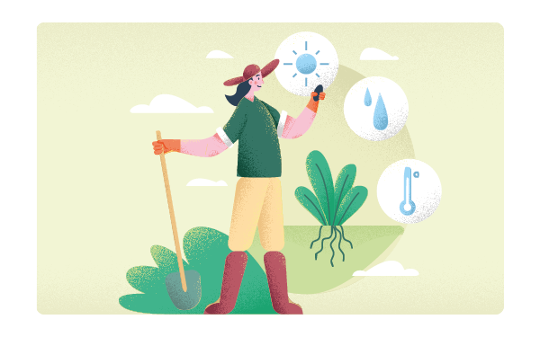 Tips to Save Energy During Spring