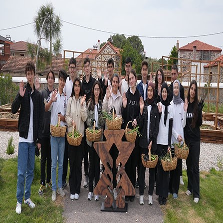 Harvesting the SENTRUM Permaculture Garden